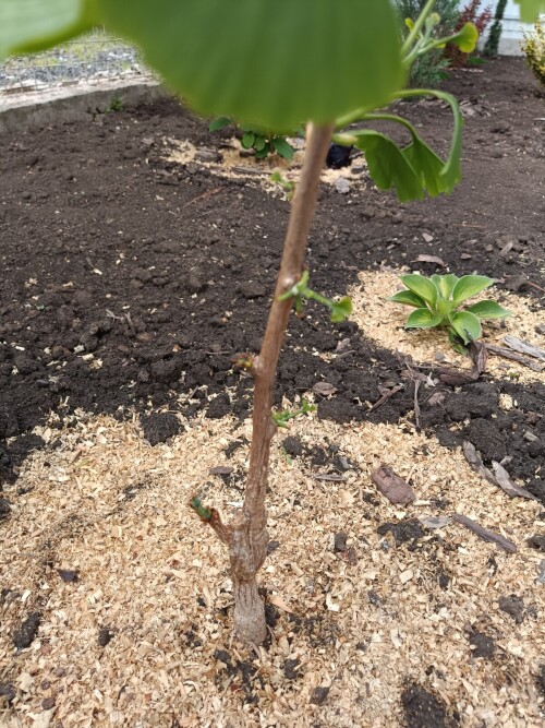1778755649573101806729708143373041b15d8889b7e1e5.jpg