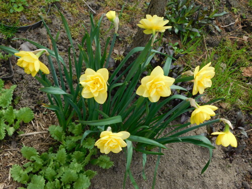 DSCN34254fefb80b2dc44bf9.jpg