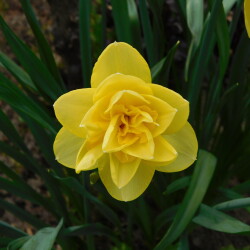DSCN342750fe42983519d4e5