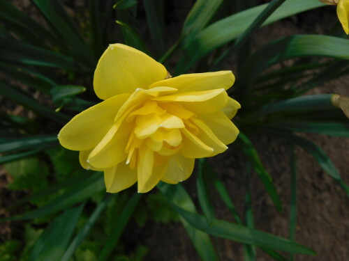 DSCN3428f0d8e609cf28cb4e.jpg