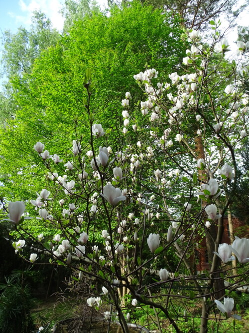 DSC00573d582338a1cbb4925.jpg