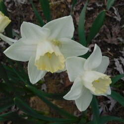 DSCN3575b27efd37908f14c5