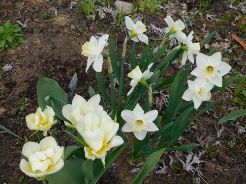 DSCN3622