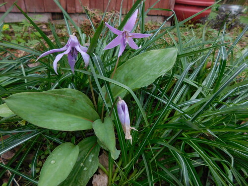 DSCN38167fdc66f8b2912079.jpg