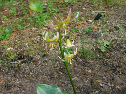 DSCN3954ac42a15da7cd92de.jpg