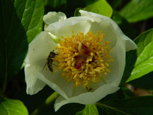 DSCN9549