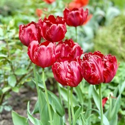 IMG_1715edb934e0859818bd