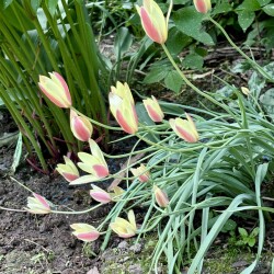 IMG_17399e351b54087ce272