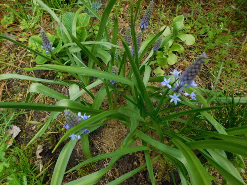 DSCN452029113c89e5c98d29.jpg