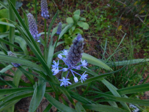 DSCN4547922f9ea5292a9be0.jpg