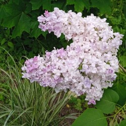 NADEZDA-3-Jun-sun80e1c8d7e15f64cf