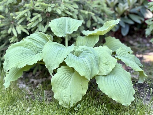 IMG_1973a72bffd3ea6956e4.jpg
