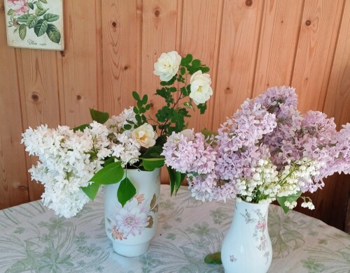 lilac-6-jun7e51366f30809b5f.jpg