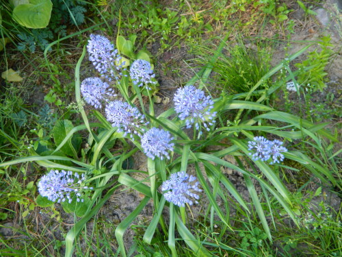 DSCN1664f44481aae8e86744.jpg