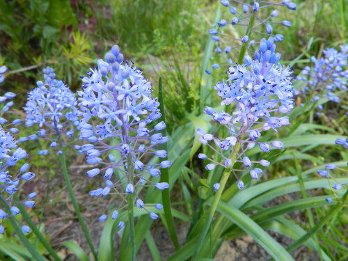 DSCN16671661ac373da49766.jpg