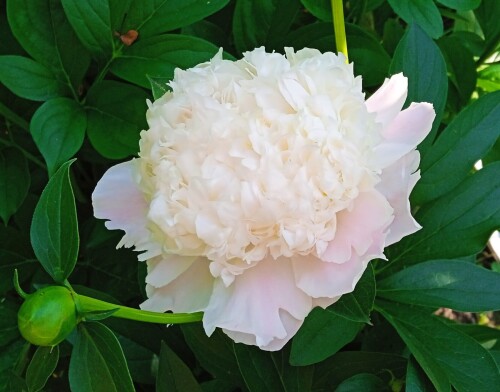sweet-12-j98dc273e2204f0fc.jpg