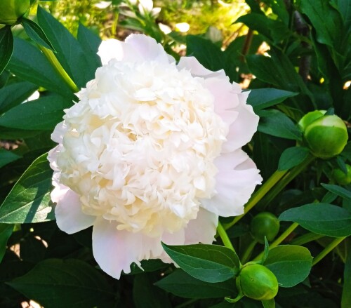 sweet-2-jun8bd476d70b62490c.jpg