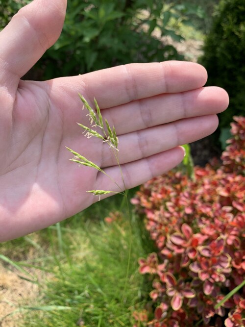 IMG_219794e514d8e3752e61.jpg