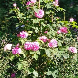 Jekyll-13-jun8e27b9e533036d68