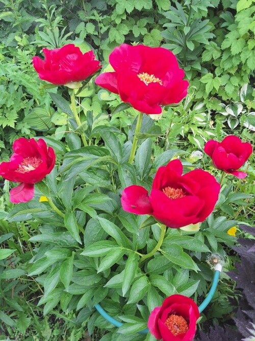 73611e635ed2d010841b.jpg