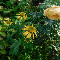 DSCN0627f9a626893e5e2274