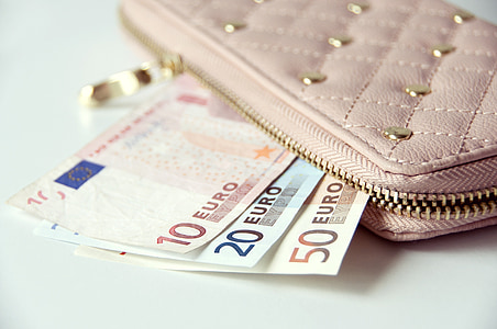 wallet-money-banknotes-euro-thumbce56b4b88d5f05f8.jpg