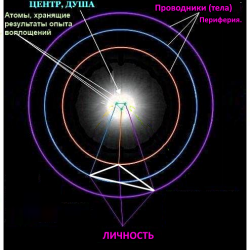 ENERGETICESKOE-USTROISTVO-CELOVEKA8e4f292626ca9259.png