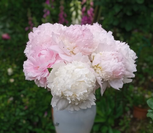 Sweet-16-20-j935da568e4dbdf53.jpg