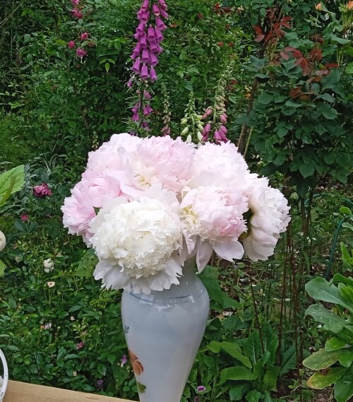 Sweet-20-j-2d9f94364a46f9009.jpg