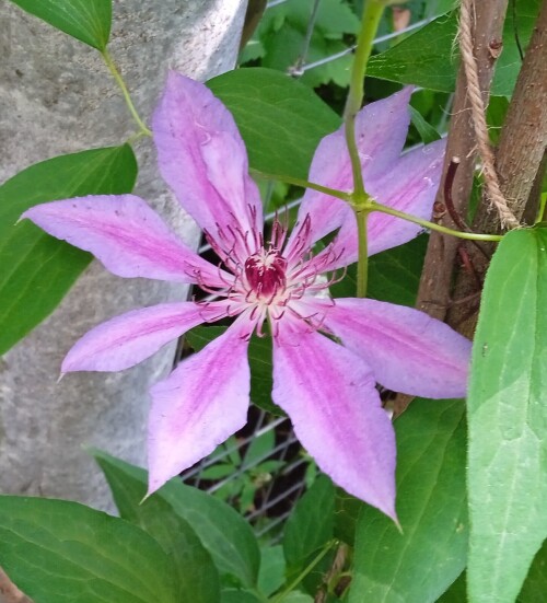 new-seedling-20-j6527bfafc96919d5.jpg