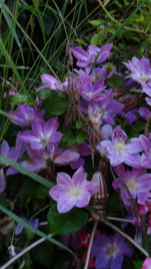 wgZTiuxnDQff02bf803d533933.jpg
