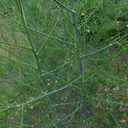 DSCN4768ffcb55ce2e104f3a