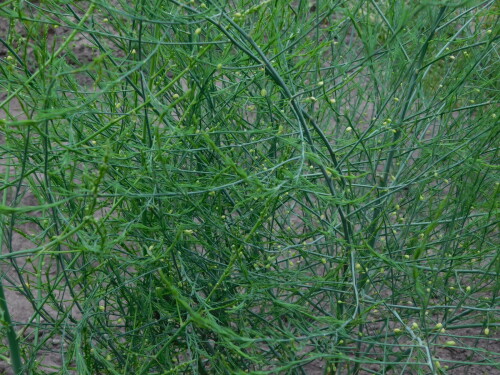 DSCN47737a9f7708cc4c9810.jpg