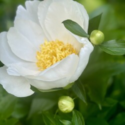 IMG_2259066b679fb6add06e