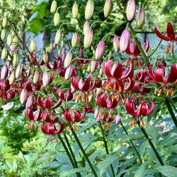 IMG_2272b21c03632d365740