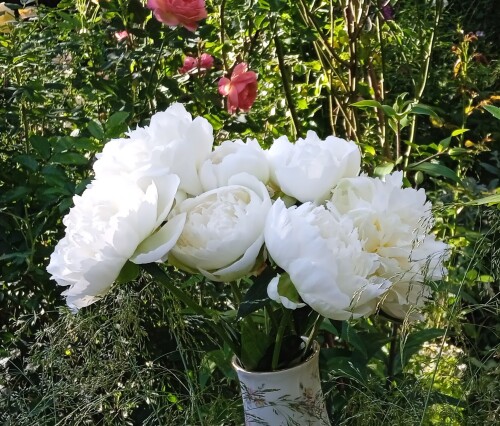 Marie-5-24-jed08d7b8eb6011e1.jpg