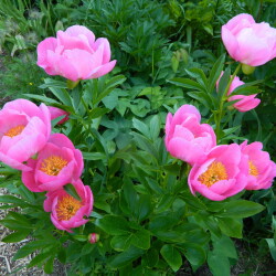 DSCN1669715ac323e965bda7