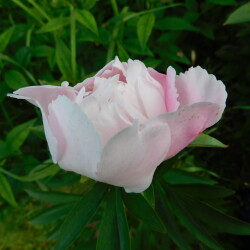 DSCN5041970f1d3132cc948c