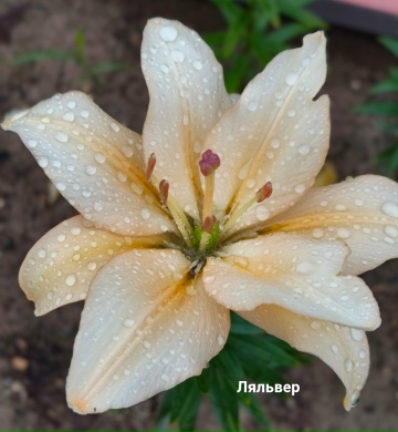 146956f32a5cdddeac.jpg