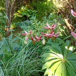 IMG_20260623_17531680c18c9c4e968cb8
