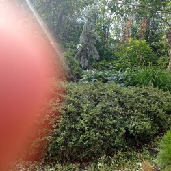 IMG_20260629_10500004390662c4ec69a8