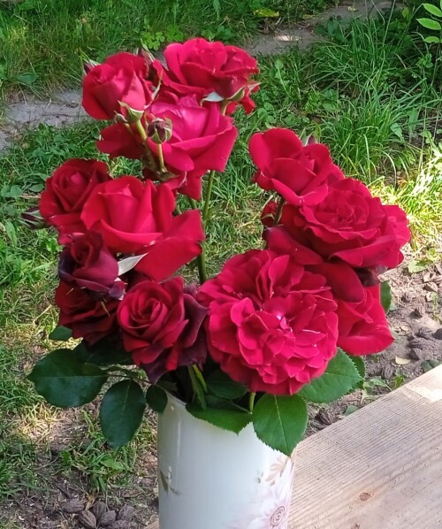 red-roses7d34ff8170976269.jpg