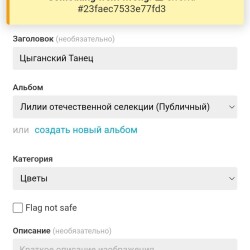 Изображение