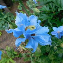 DSCN52573aaedfe2ee2aa67f