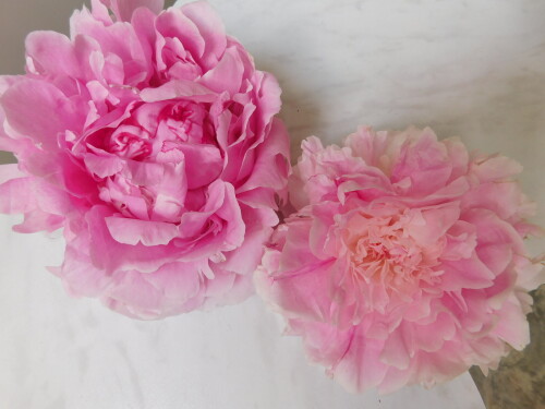 DSCN5400b9023b82b51fee98.jpg