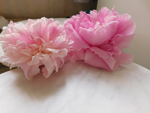 DSCN5401d40fe5cc105af24f.jpg