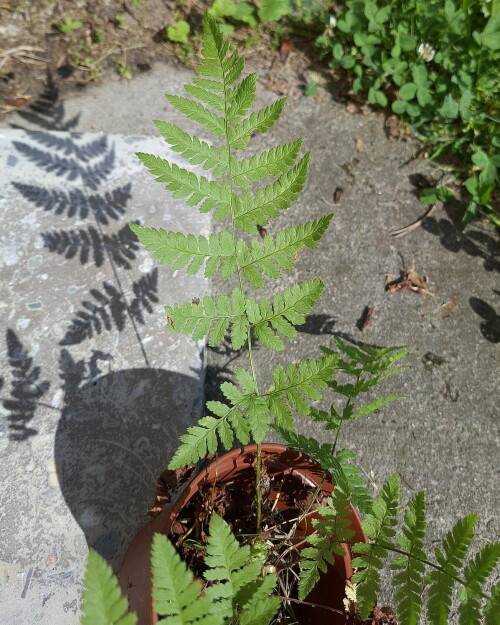 20260704_094236_1bda019b348a2142.jpg