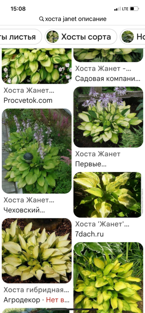 IMG_28139e81d239bdcd36f9.png