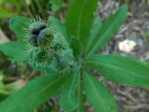 DSCN4648f714b6e2f77e1e59.jpg