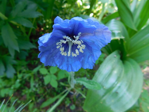 DSCN4674a6755a0442bfa1f2.jpg